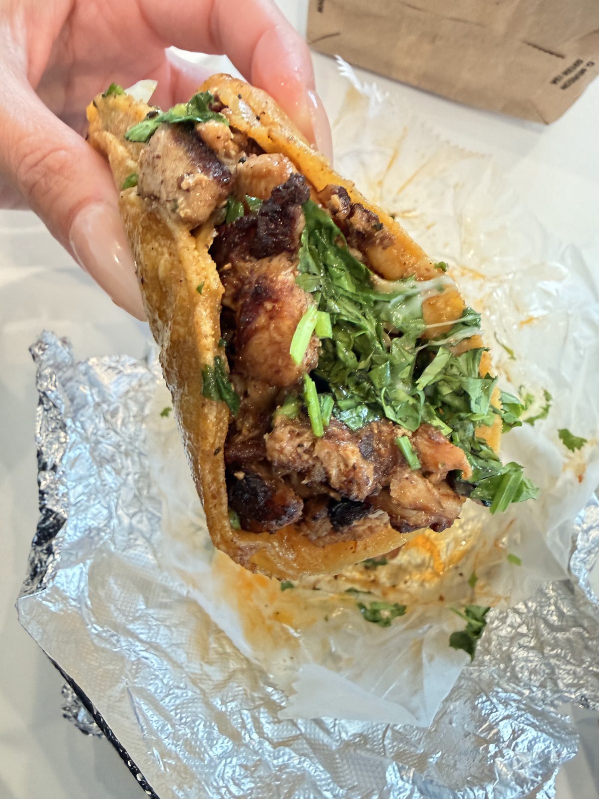 Taco close-up